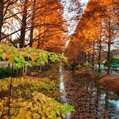 🏞️ 하나사키 스포츠 공원 (아사히카와시 하나사키 스포츠 코엔) 이미지 8